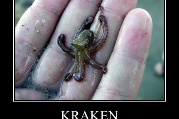 Кракен рабочий сайт