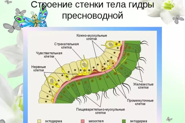 Кракен зеркало gigageek ru